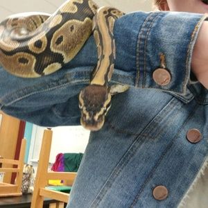 Meet your Posher, Grace